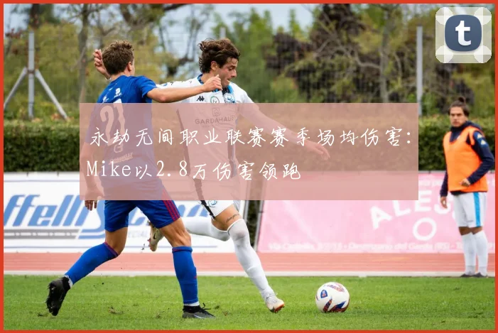 永劫无间职业联赛赛季场均伤害：Mike以2.8万伤害领跑