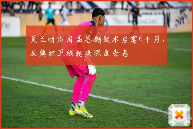 莫兰特右肩盂唇撕裂术后需6个月,灰熊控卫线轮换深度告急