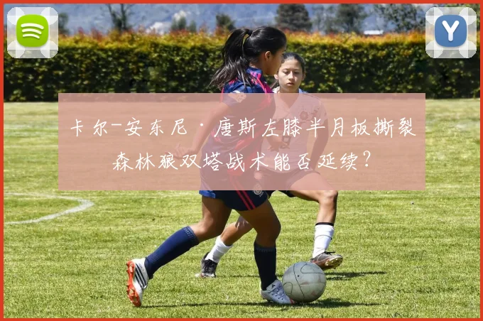 卡尔-安东尼·唐斯左膝半月板撕裂，森林狼双塔战术能否延续？